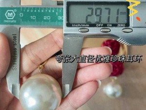 接待一个 30mm 直径的客户需要多少钱？