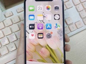 欧美IPHONEXSMAX免费-欧美 IPHONEXSMAX 免费，真的有这样的好事吗？它的质量和售后服务如何？