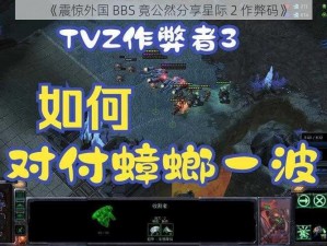 《震惊外国 BBS 竟公然分享星际 2 作弊码》