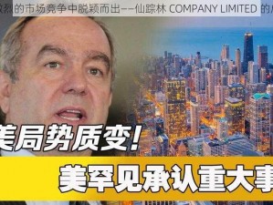 如何在激烈的市场竞争中脱颖而出——仙踪林 COMPANY LIMITED 的成功之道