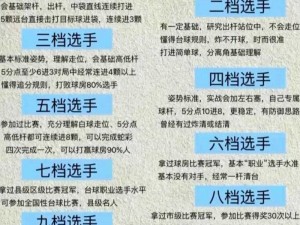 关于台球冠军的专业安装与配置详解：全面提升竞技体验