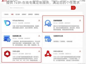 提供 1v3h 在线专属定制服务，满足您的个性需求
