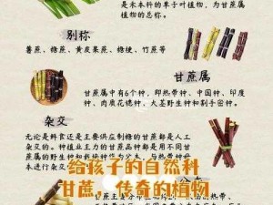 太荒初境甘蔗寻踪记：揭秘甘蔗生长于隐秘之地