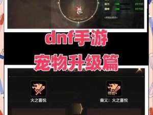 DNF手游攻略：宠物洗炼材料获取全解析，助你轻松获取宠物洗炼必备材料