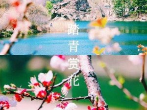 神都踏青之旅：妖灵相伴，共赏春日盛景