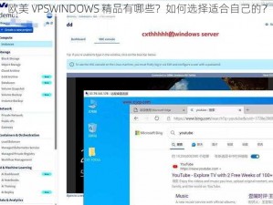 欧美 VPSWINDOWS 精品有哪些？如何选择适合自己的？