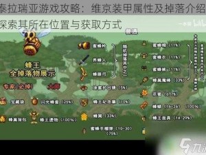 泰拉瑞亚游戏攻略：维京装甲属性及掉落介绍，探索其所在位置与获取方式