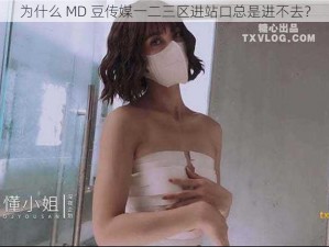 为什么 MD 豆传媒一二三区进站口总是进不去？