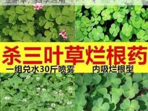 德国进口三叶草 gw1155 高效除草剂，专业除草，四季通用