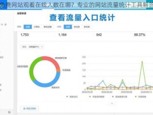 免费网站观看在线人数在哪？专业的网站流量统计工具解答