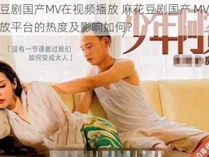 麻花豆剧国产MV在视频播放 麻花豆剧国产 MV 在视频播放平台的热度及影响如何？