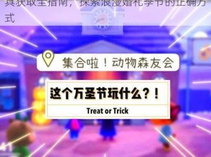 集合啦动物森友会婚礼季特别攻略：掌握道具获取全指南，探索浪漫婚礼季节的正确方式