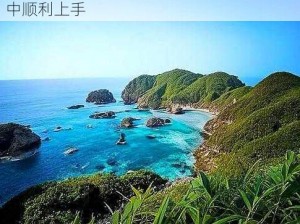 荒野求生指南：如何在狂野西部生死同盟中顺利上手