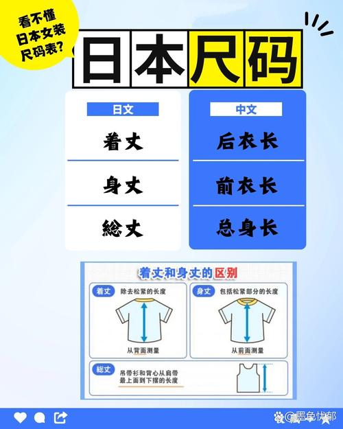 日本 l 码比国际通用的 xxl 码还要大，是 xx l 码的 2 倍