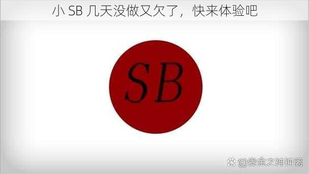 小 SB 几天没做又欠了，快来体验吧