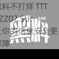 黑料不打烊 TTTZZZ07.SU：让你的信息安全更有保障