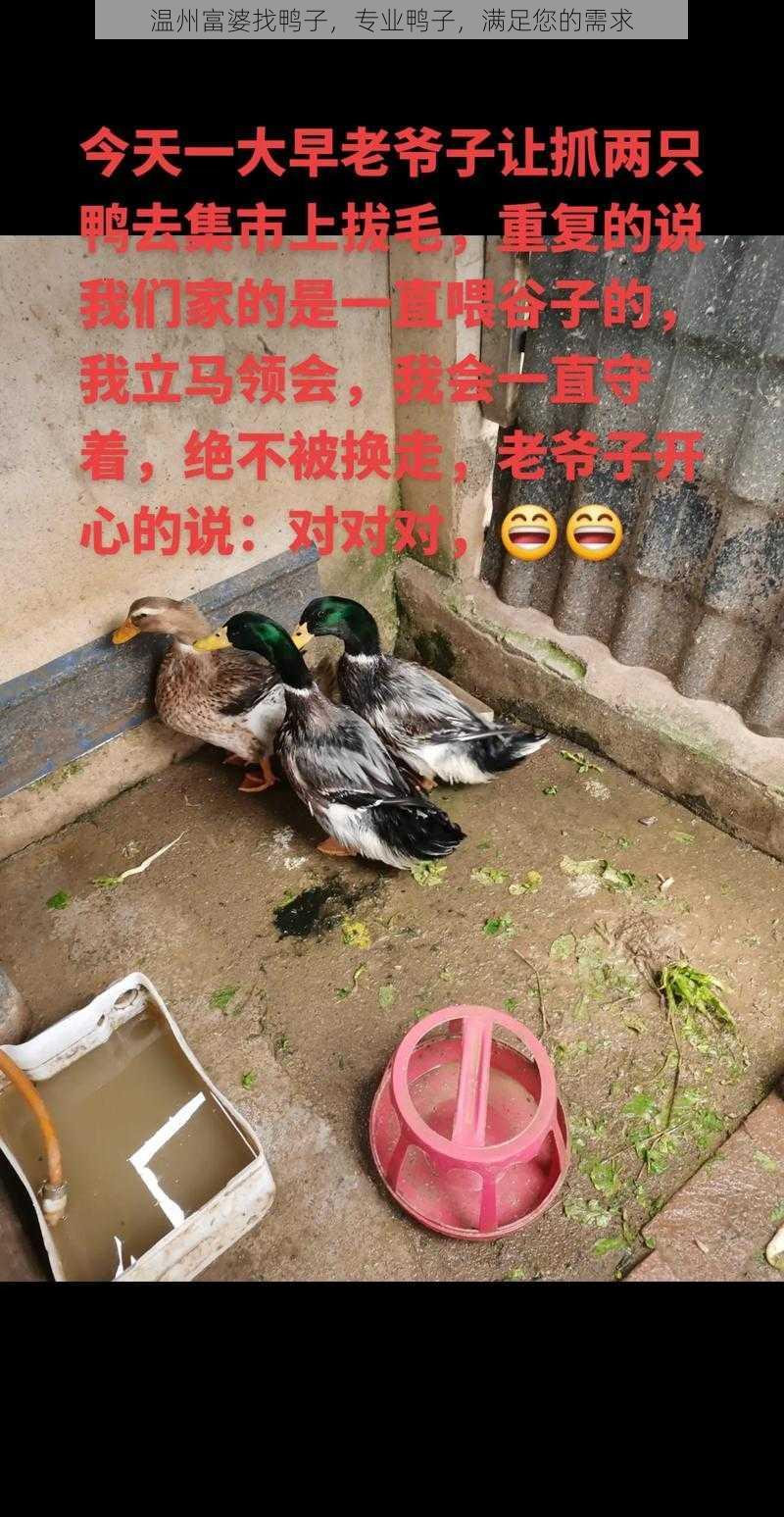 温州富婆找鸭子，专业鸭子，满足您的需求