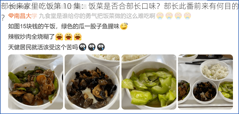 部长来家里吃饭第 10 集：饭菜是否合部长口味？部长此番前来有何目的？