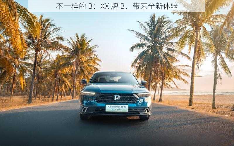 不一样的 B：XX 牌 B，带来全新体验