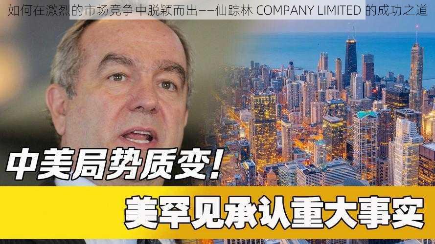 如何在激烈的市场竞争中脱颖而出——仙踪林 COMPANY LIMITED 的成功之道