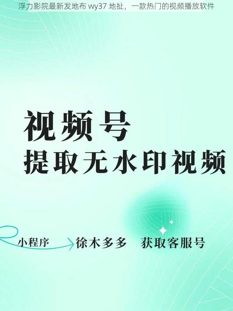 浮力影院最新发地布 wy37 地扯，一款热门的视频播放软件