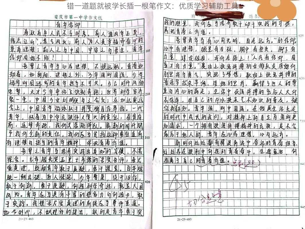 错一道题就被学长插一根笔作文：优质学习辅助工具