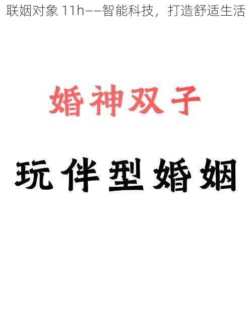 联姻对象 11h——智能科技，打造舒适生活