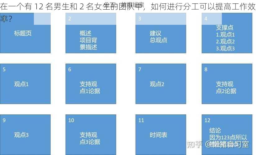 在一个有 12 名男生和 2 名女生的团队中，如何进行分工可以提高工作效率？