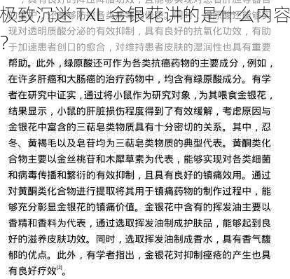 极致沉迷 TXL 金银花讲的是什么内容？