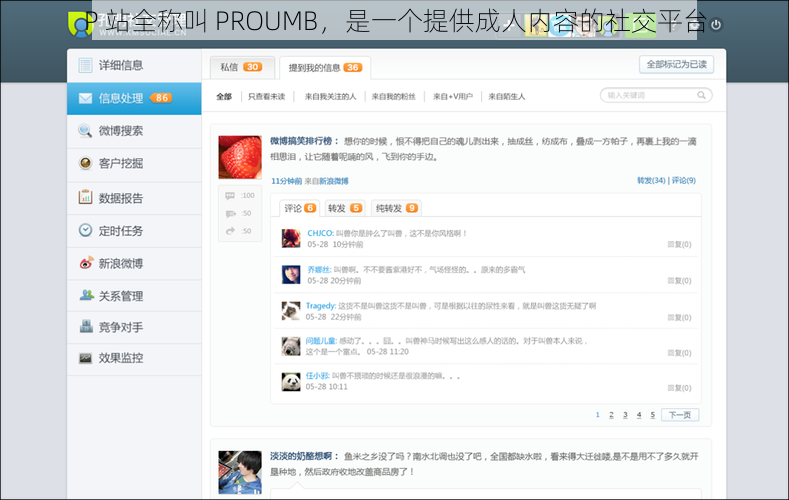 P 站全称叫 PROUMB，是一个提供成人内容的社交平台