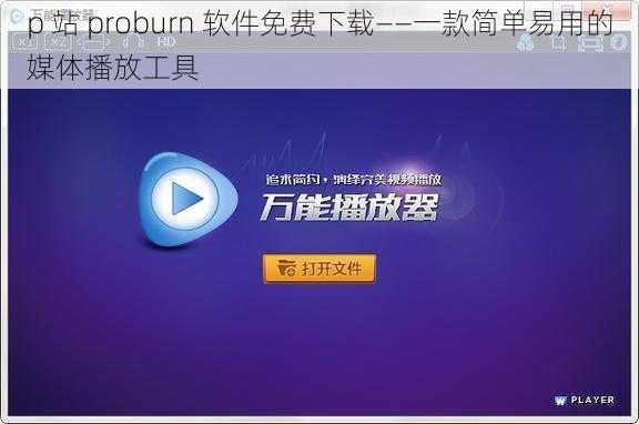 p 站 proburn 软件免费下载——一款简单易用的媒体播放工具