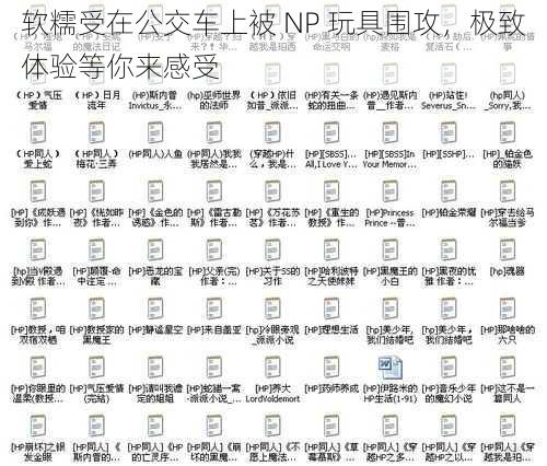 软糯受在公交车上被 NP 玩具围攻，极致体验等你来感受