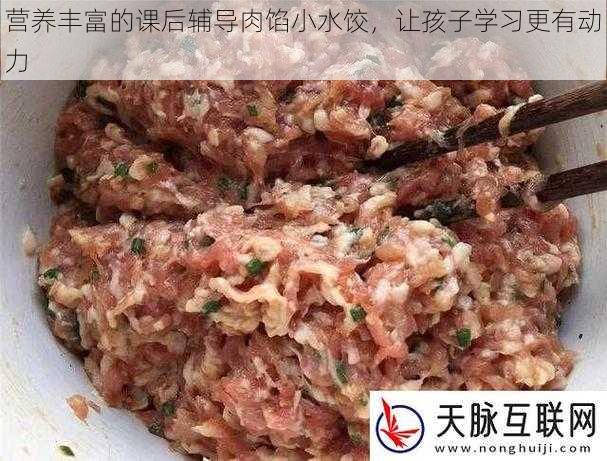 营养丰富的课后辅导肉馅小水饺，让孩子学习更有动力