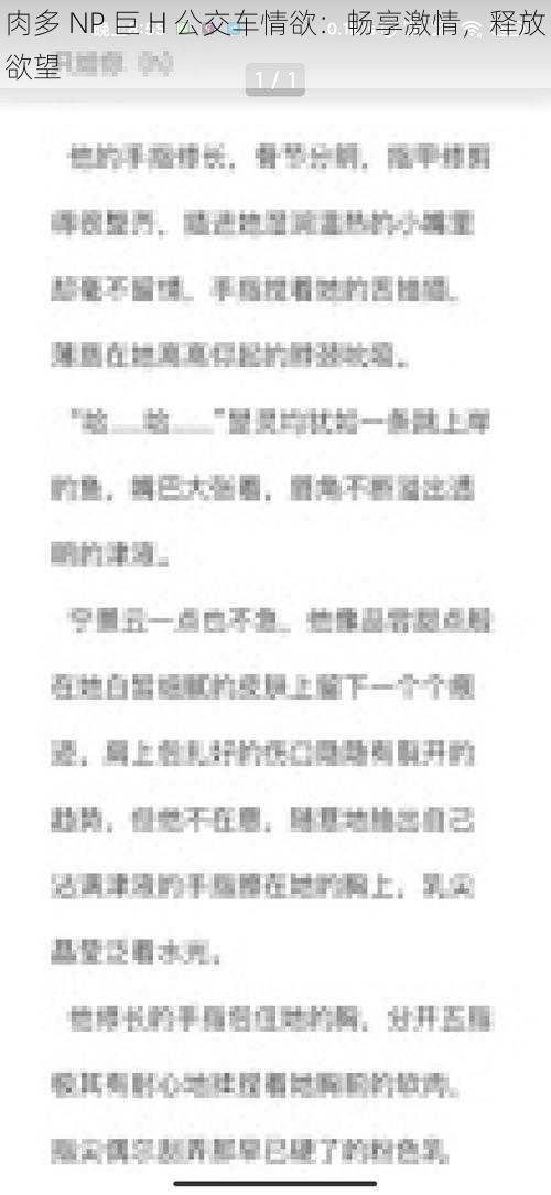 肉多 NP 巨 H 公交车情欲：畅享激情，释放欲望