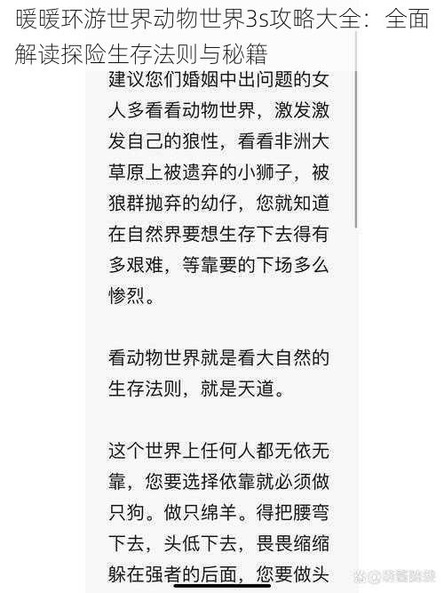 暖暖环游世界动物世界3s攻略大全：全面解读探险生存法则与秘籍