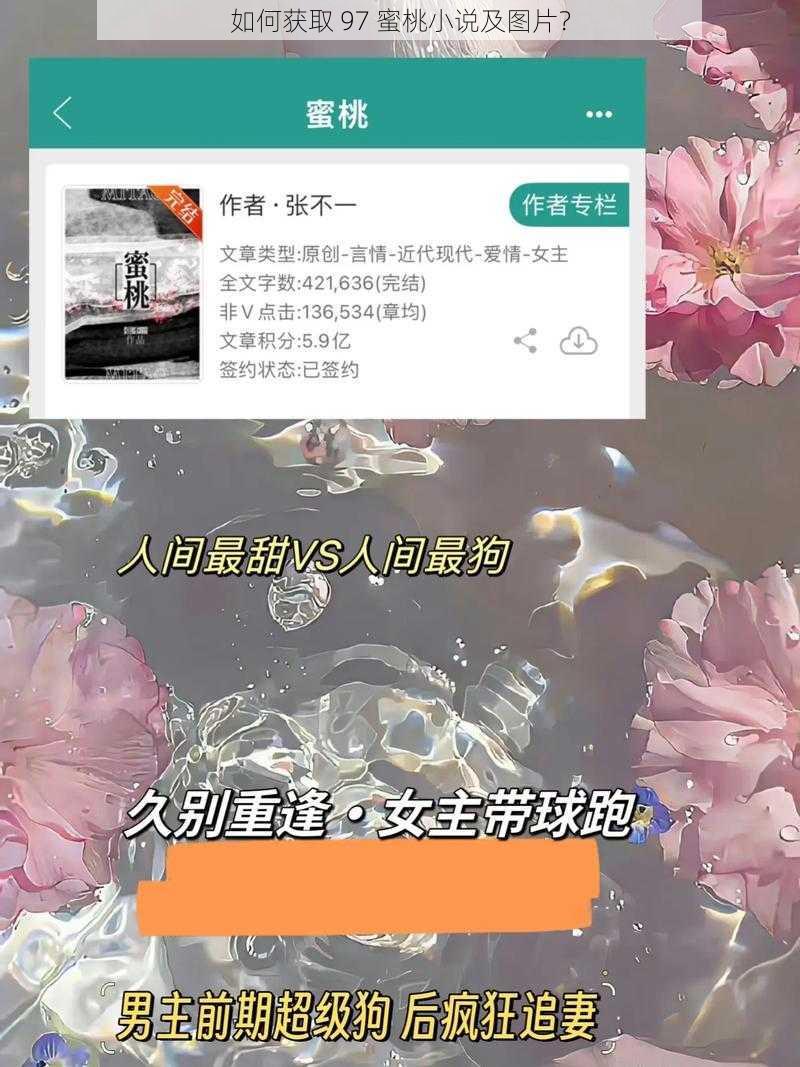 如何获取 97 蜜桃小说及图片？