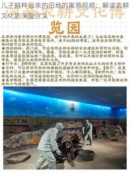 儿子耕种母亲的田地的寓意视频：解读农耕文化的深层含义