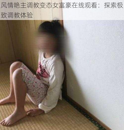 风情艳主调教变态女富豪在线观看：探索极致调教体验