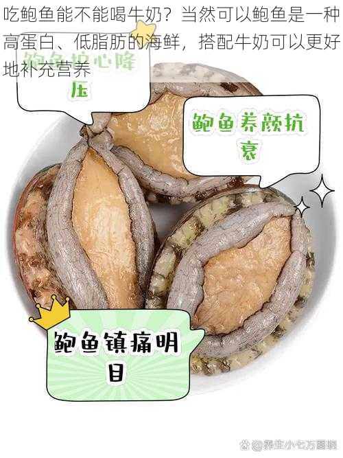 吃鲍鱼能不能喝牛奶？当然可以鲍鱼是一种高蛋白、低脂肪的海鲜，搭配牛奶可以更好地补充营养