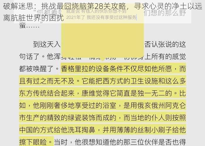 破解迷思：挑战最囧烧脑第28关攻略，寻求心灵的净土以远离肮脏世界的困扰