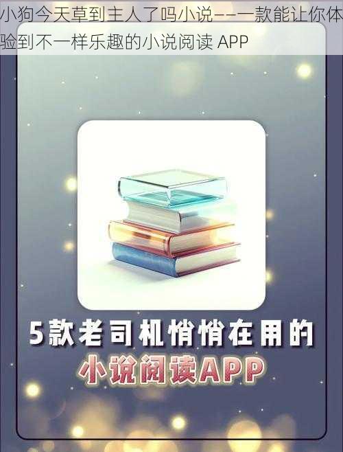 小狗今天草到主人了吗小说——一款能让你体验到不一样乐趣的小说阅读 APP