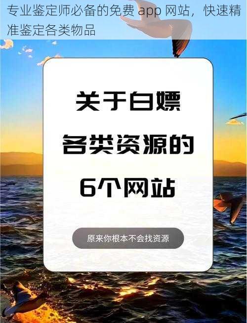 专业鉴定师必备的免费 app 网站，快速精准鉴定各类物品