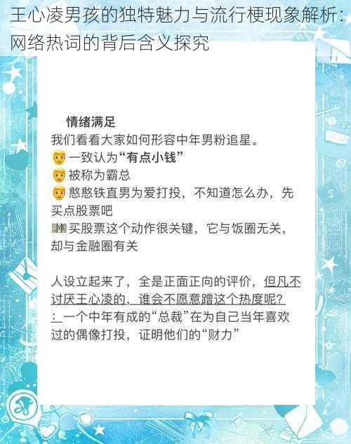 王心凌男孩的独特魅力与流行梗现象解析：网络热词的背后含义探究