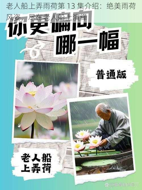 老人船上弄雨荷第 13 集介绍：绝美雨荷风姿，尽在老人船上演绎