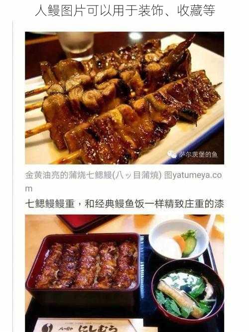 人鳗图片可以用于装饰、收藏等