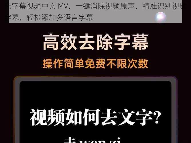 无字幕视频中文 MV，一键消除视频原声，精准识别视频字幕，轻松添加多语言字幕