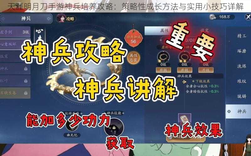 天涯明月刀手游神兵培养攻略：策略性成长方法与实用小技巧详解