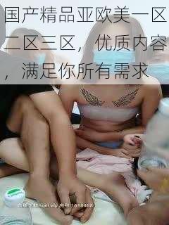 国产精品亚欧美一区二区三区，优质内容，满足你所有需求