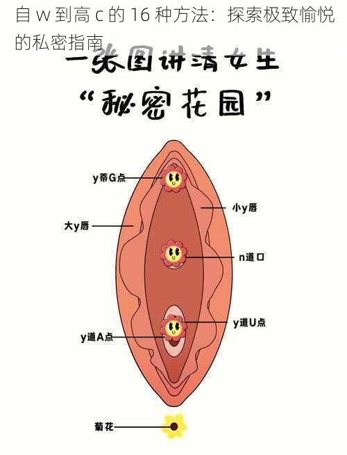 自 w 到高 c 的 16 种方法：探索极致愉悦的私密指南