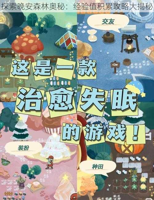 探索晚安森林奥秘：经验值积累攻略大揭秘